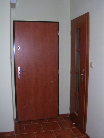 Vstupní dveře